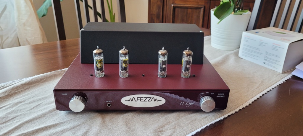 (TO) amplificatore valvolare Fezz Audio Omega Lupi 20210611
