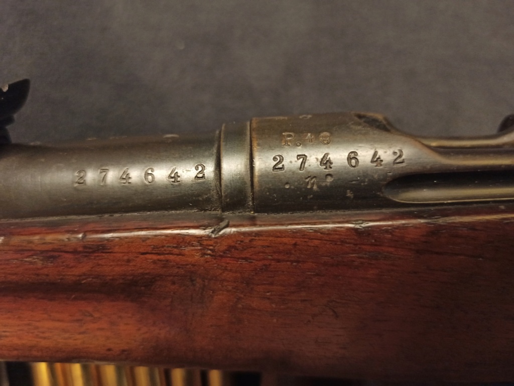 un fusil d'infanterie Model 1896/11 96110010