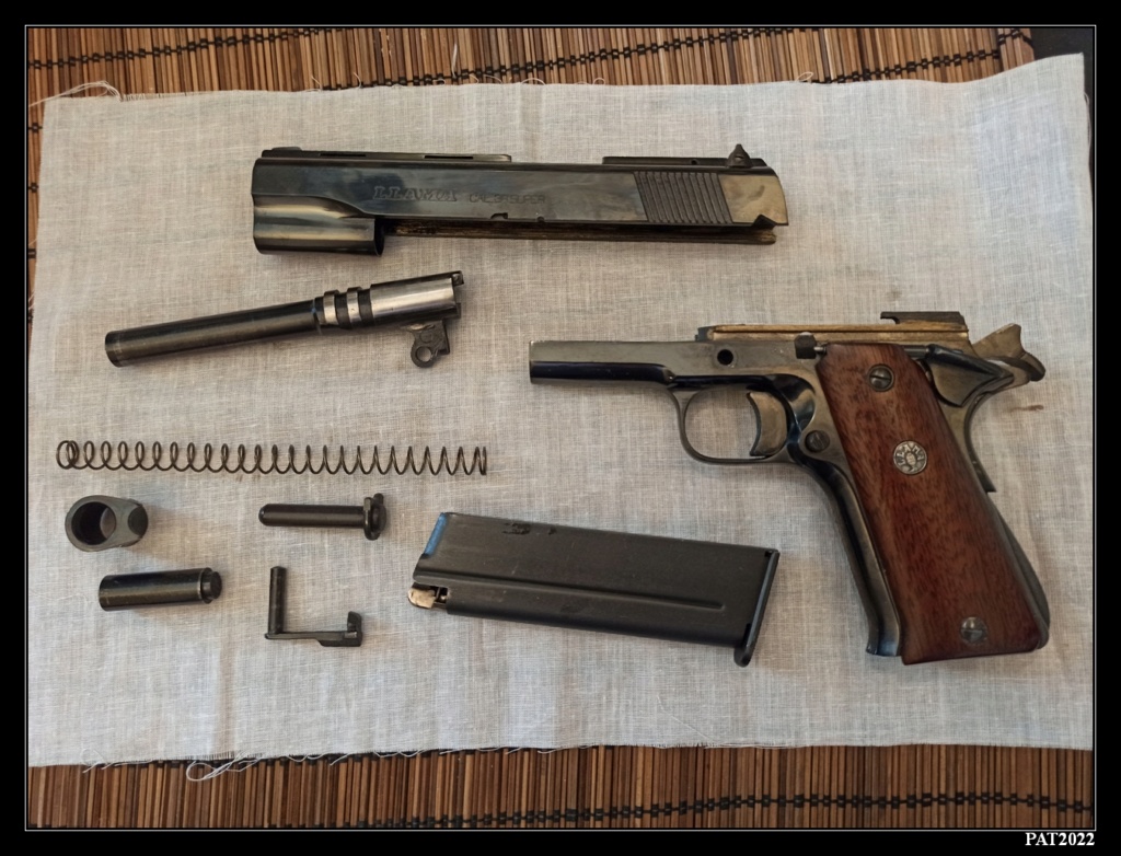 Nouveau arrivé à la maison LLAMA 1911 VIII Llama033