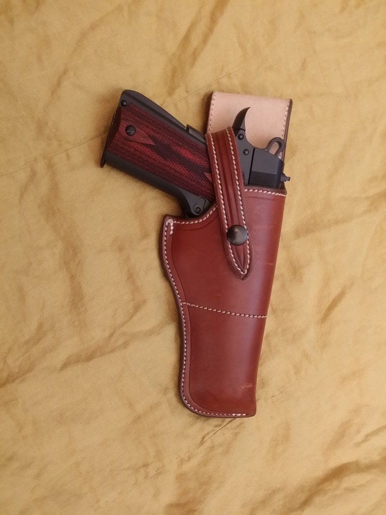 Question d'un novice avec 45ACP Nor111