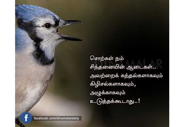 -  பல்சுவை-  வாட்ஸ் அப் பகிர்வு Elarge18