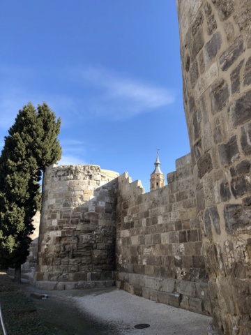 QUEDADAS (ARA): Visita al Museo Ossa en Utebo. 09.03.2019 9da61c10
