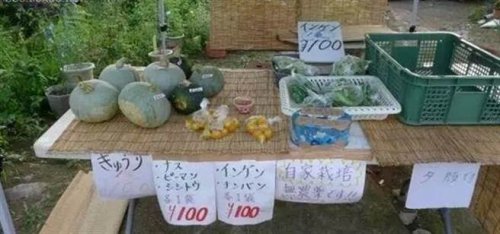 Từ chuyện tổ chim suy ngẫm về giáo dục Nguoi-13