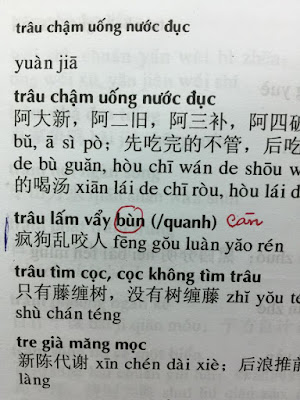 NHIỀU SAI SÓT TRONG “TỪ ĐIỂN THÀNH NGỮ TỤC NGỮ VIỆT - HÁN”  Nvkt1010