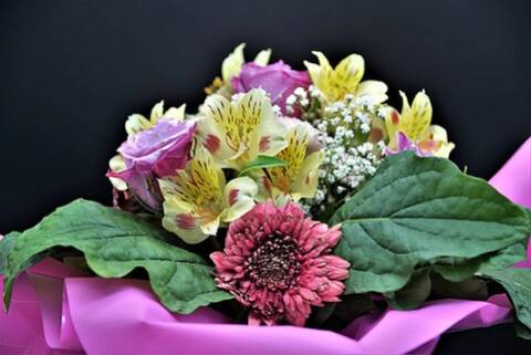 Bon Anniversaire Cindy Bon Anniversaire Cindy