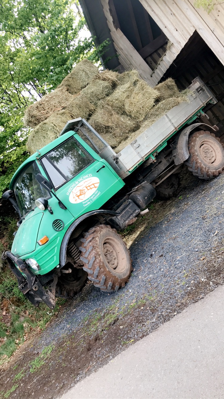 Distribution Unimog 421 F3a48c10