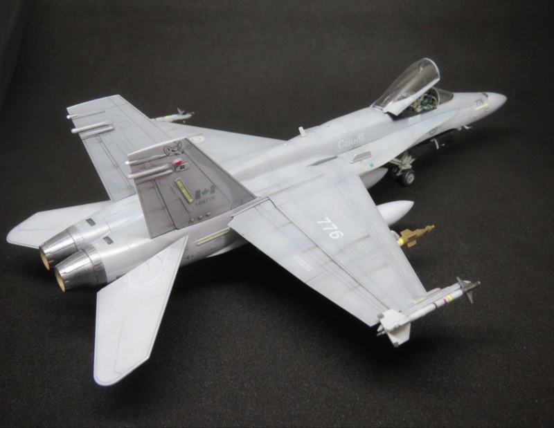 Hawker Hunter et FA-18 Hornet 20190537