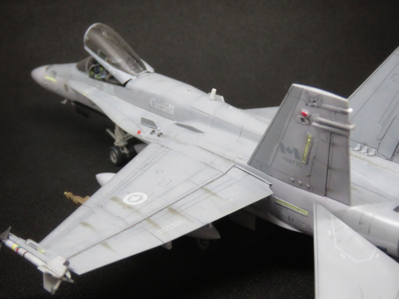 Hawker Hunter et FA-18 Hornet 20190540