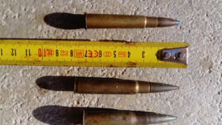 Quel types de munitions ?  Dsc_2524