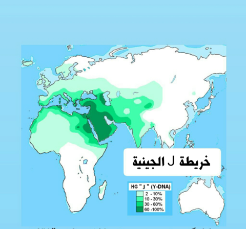 الأرقام بالفينيقية، العرب القدماء  Negar_18