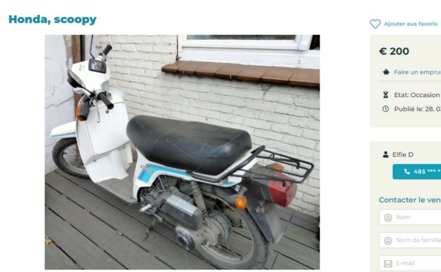 scoopy sh honda 50 de 1984 2022-116