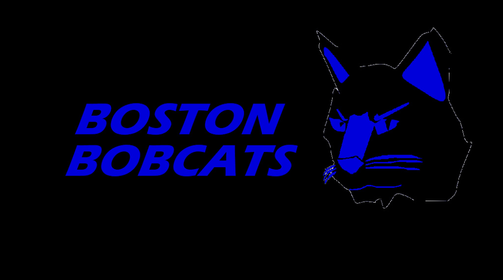 Boston Bobcats Uniforms/Fields for 2022 GSL Season Word_a11