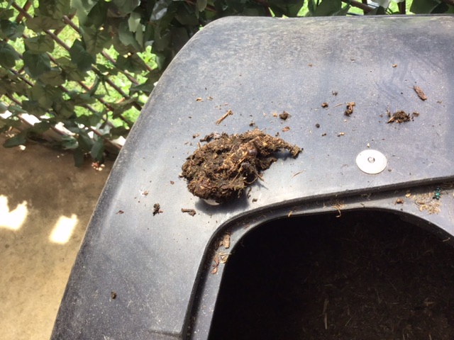 How I compost using a Tumbler 32d94b10