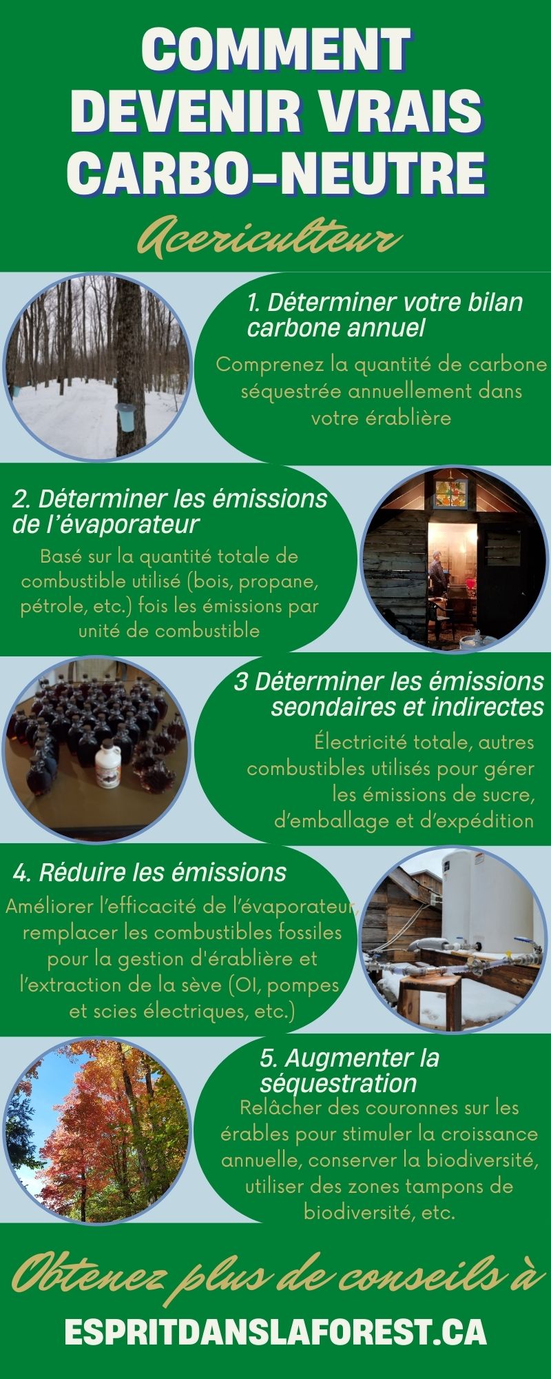 Infographic sur Carbo-Neutre Commen10