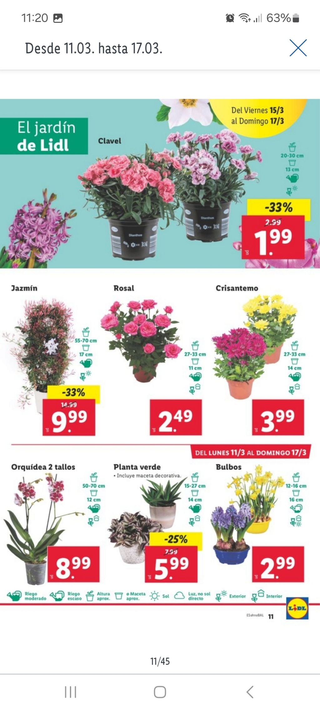 Ofertas semanales de jardinería en ALDI y LIDL - Página 18 Screen14