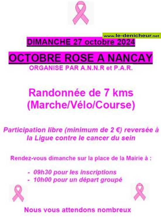 j27 - DIM 27 octobre - NANCAY - Randonnée Octobre Rose 000_2113