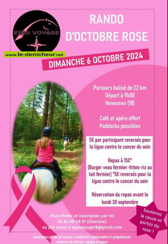 j06 - DIM 06 octobre - VENESMES - Rando d'Octobre Rose . 000_2_34