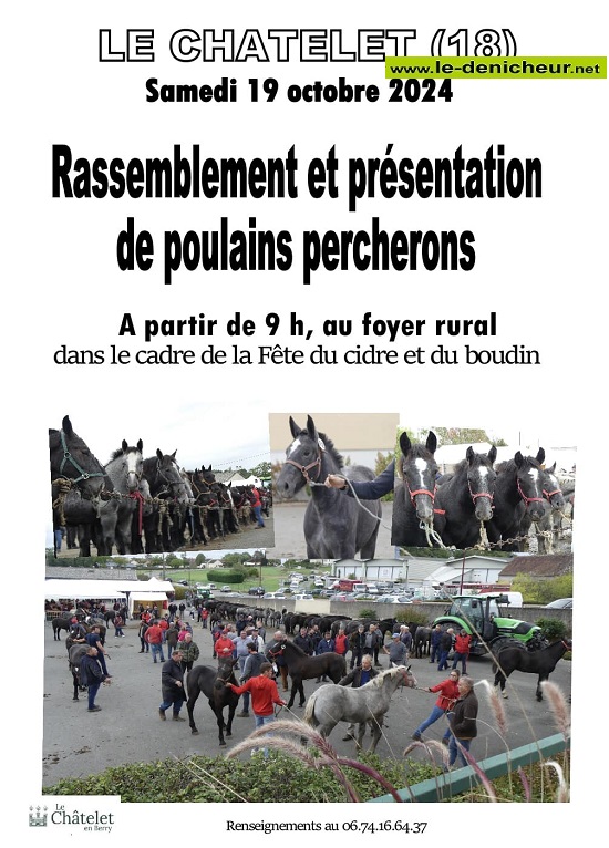 j19 - SAM 19 octobre - LE CHATELET - Rassemblement et présentation de poulains percherons. 10-19_38