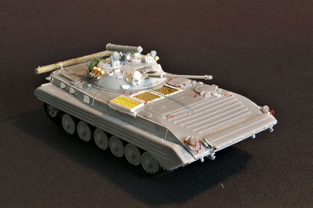 BMP 2 Imgp9525