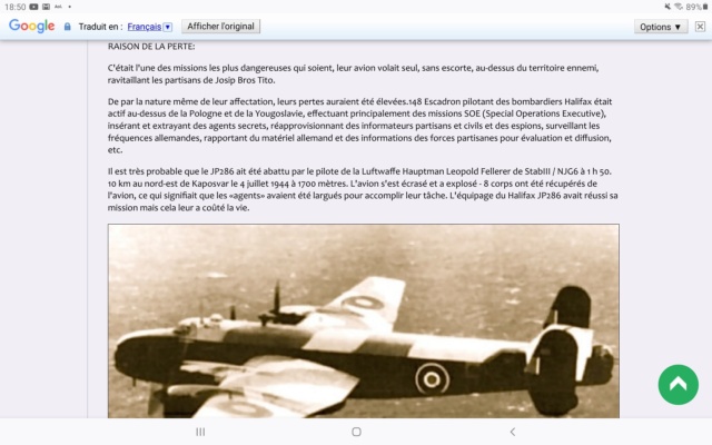 Mystérieux crash d’un Halifax en Hongrie avec un aviateur français  Screen22