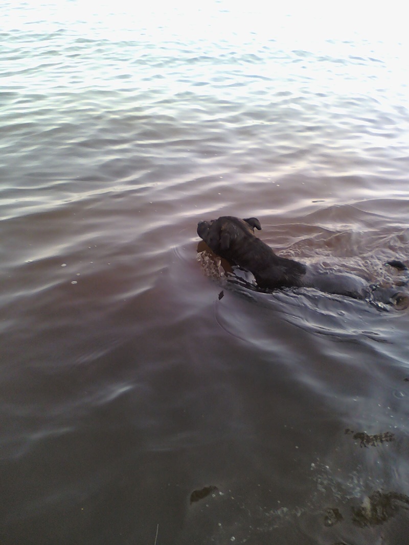 chloe swimming :) 09112911