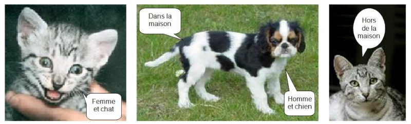 Pensées royales canines - les pensées du King Charles (Bande Dessinée en photos) Image20