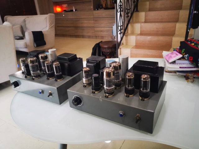 Western Electric Clone Tube Monoblock amp (Used) SOLD Img_2174