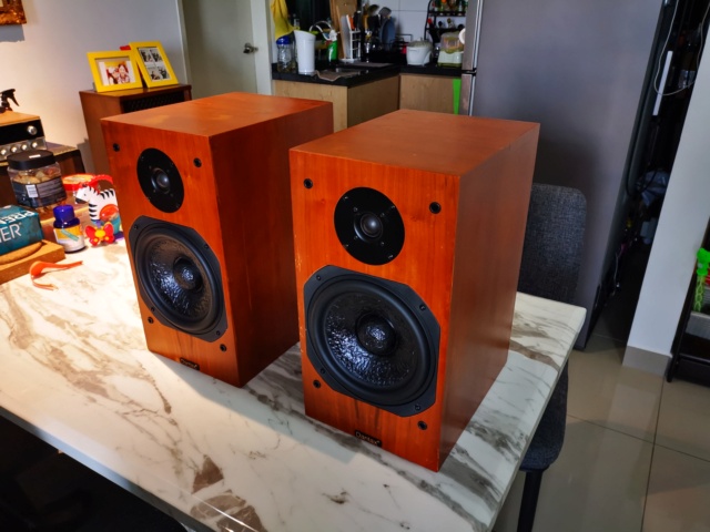 Dantex 2-Way speaker 8" woofer (Used) SOLD Img_2319