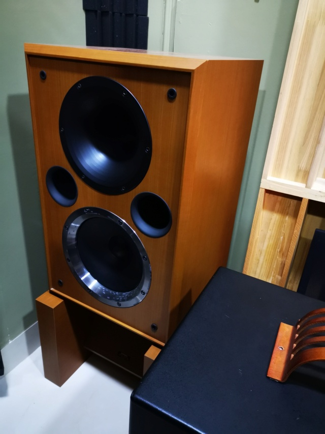 Pioneer/TAD S-LH5 with factory matching stands (Used) Img_2403