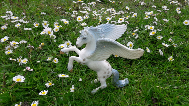 SCHLEICH : mes chevaux, mes dragons et autres figurines - Page 2 20190522