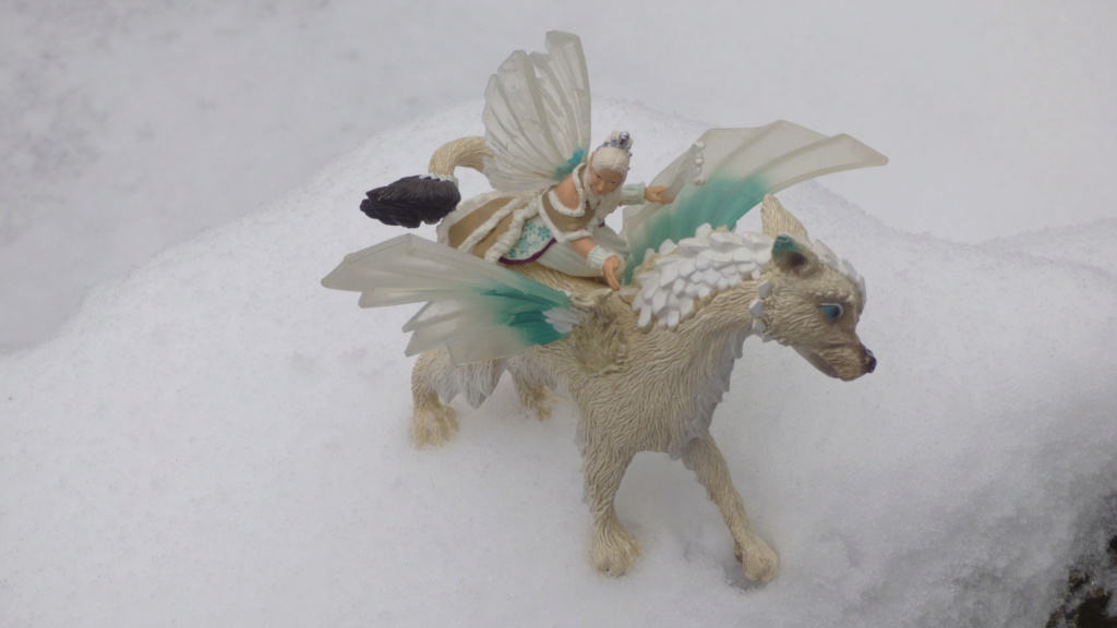 SCHLEICH : mes chevaux, mes dragons et autres figurines P1260154