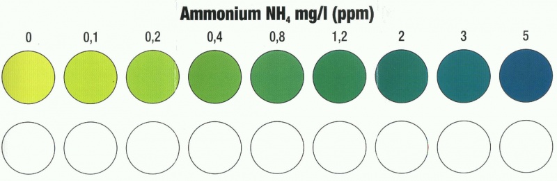 Echelles de couleur tests JBL Ammoni10
