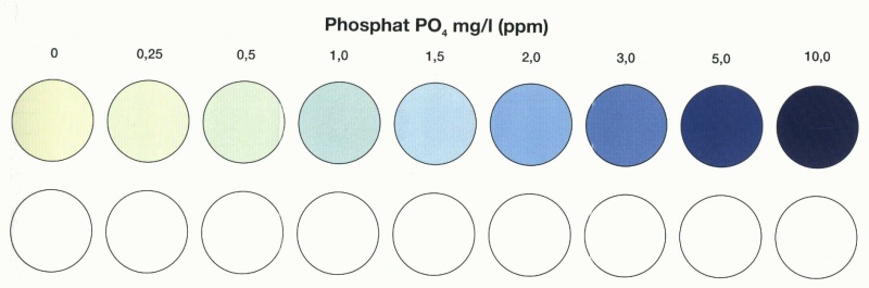 Echelles de couleur tests JBL Phosph10