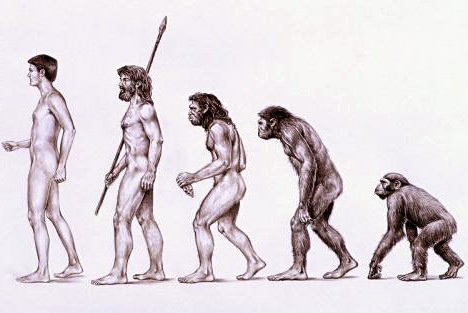 Evolution de l'homme Lzovol10