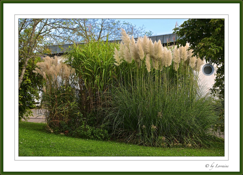 Erste Frühlingsboten im Garten und in Wald und Flur, Teil 2 - Seite 42 Image285