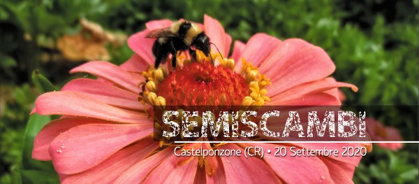 SeMiScambi 2020 a CASTELPONZONE (CR) il 20 settembre 2020 Copert11