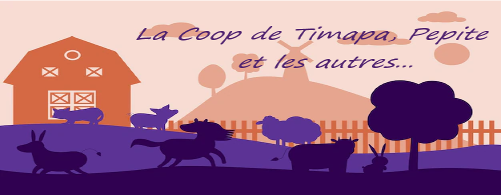 La Coop de Timapa, Pepite et les autres...