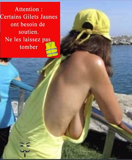 humour - Page 20 Gilet_11