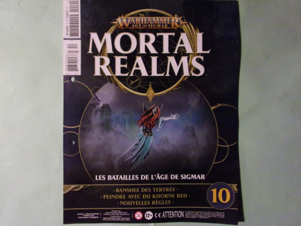 warhammer Age of Sigmar - mortal realms (collection hachette) vol 10 105_9320