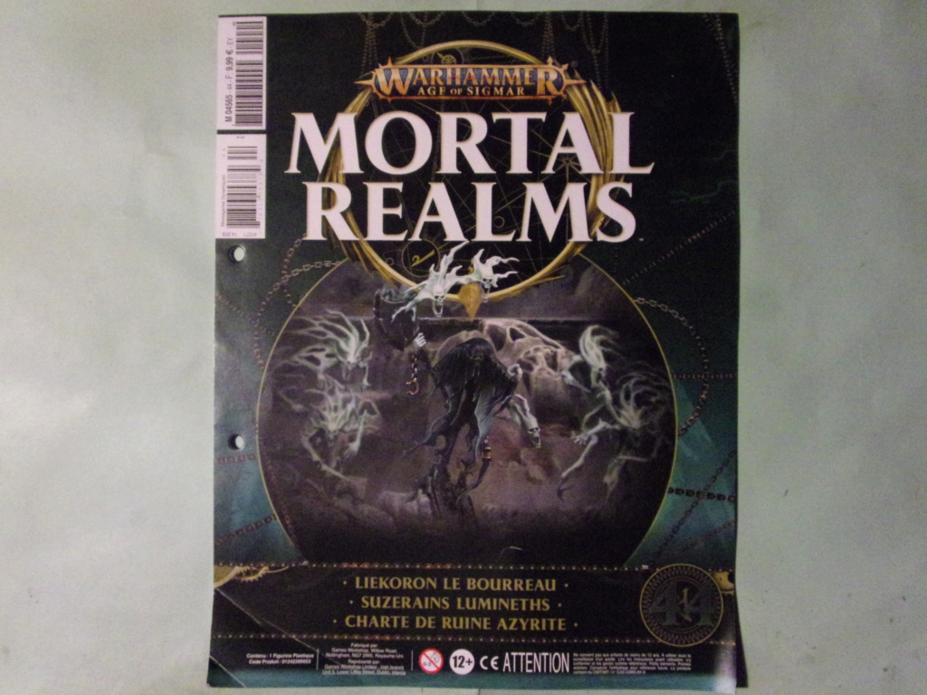 warhammer Age of Sigmar - mortal realms (collection hachette) vol44 106_7171