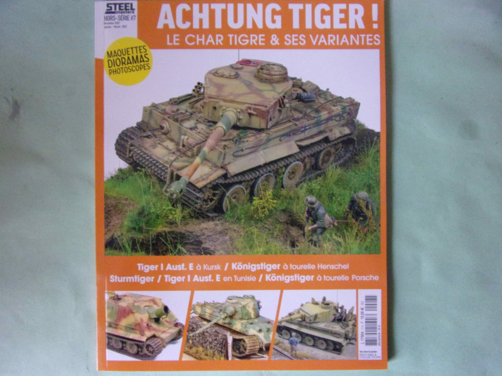 HS#7 STEELMASTERS - Le char Tiger et ses variantes 107_0831