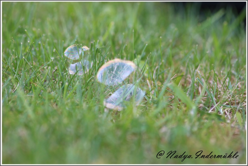 Les bulles de savons  Cadre114