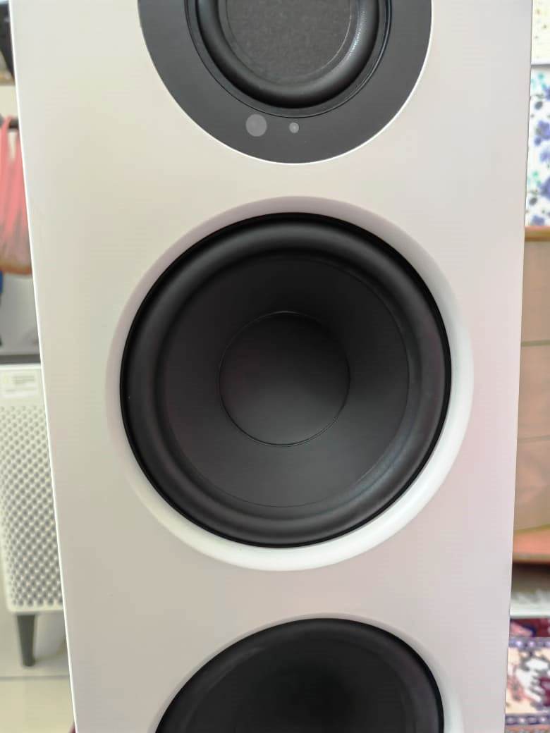 AudioPro A48 Active Speakers-Only 3 Months Old Img-2055