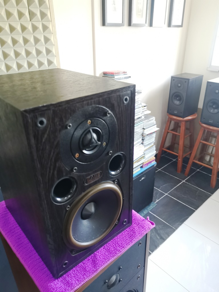 Acoustic Energy AE100 Bookshelf Speakers (used)-Sold Img_2166