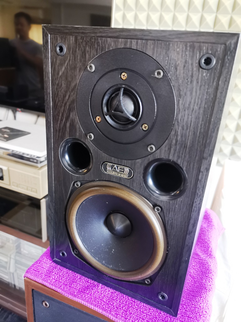 Acoustic Energy AE100 Bookshelf Speakers (used)