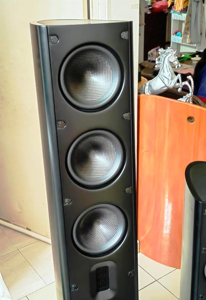 Used pair of flagship Scansonic (Raidho) MB6 speaker, handcrafted and made in Denmark. Img_2504