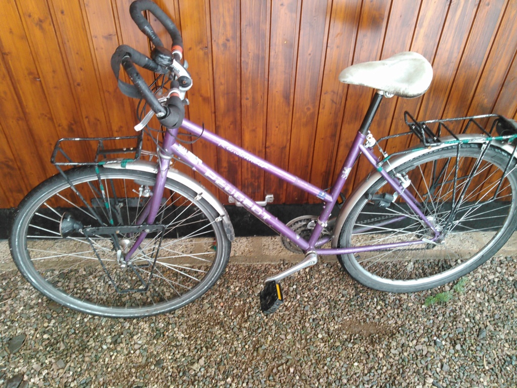Peugeot "Randonneur" 1997 Kimg0782