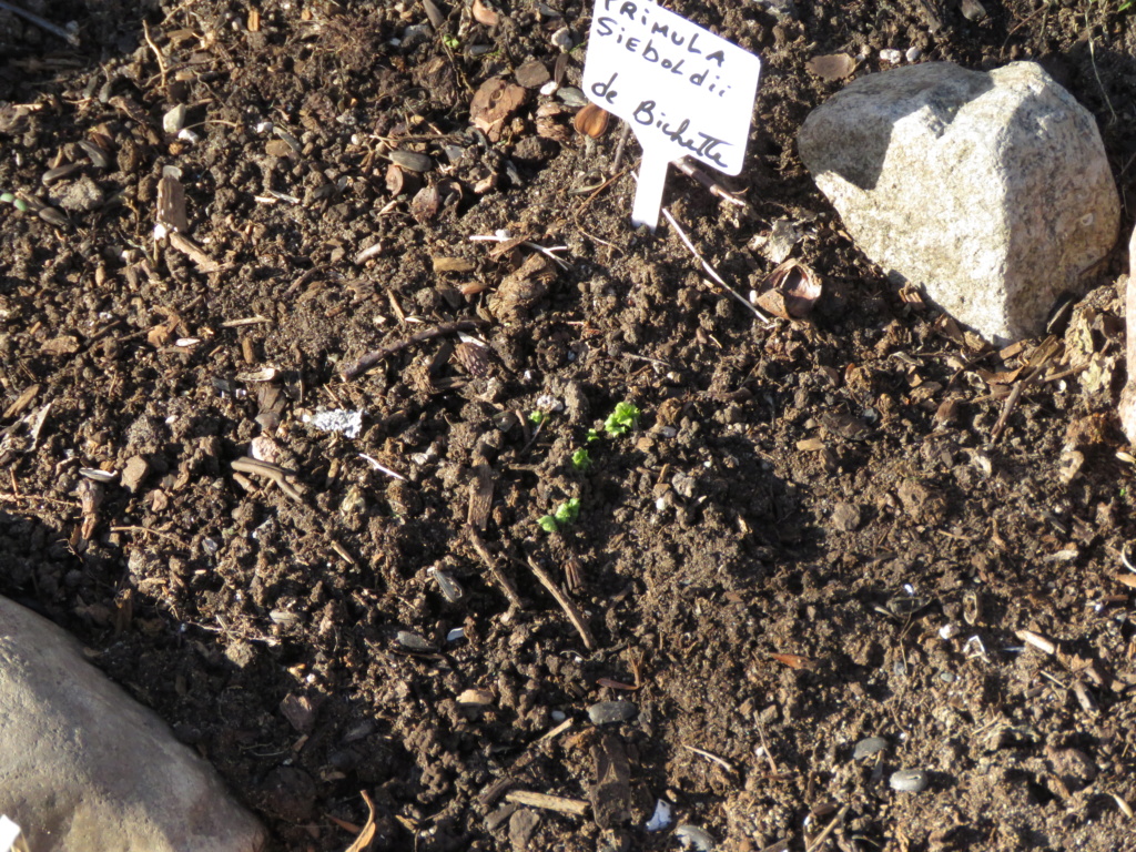 Chaque jour est un cadeau dans le jardin de grigri (saison 2019) - Page 6 Img_2828