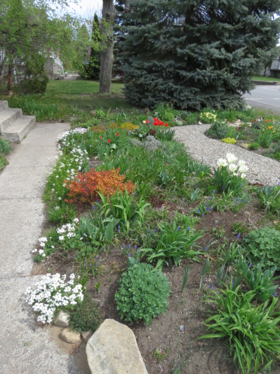 Mai, un mois intense pour les jardiniers que nous sommes... - Page 4 Img_6520