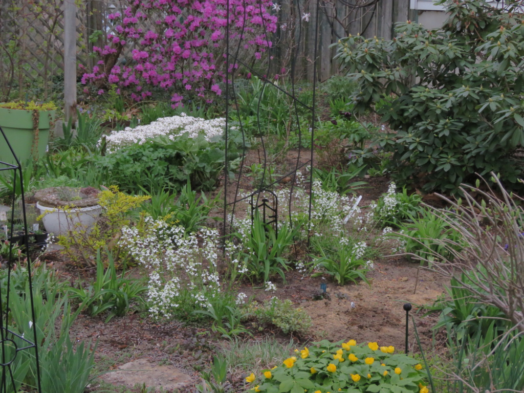Mai, un mois intense pour les jardiniers que nous sommes... - Page 5 Img_6618